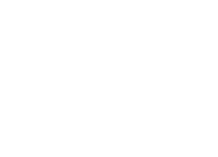 Voice